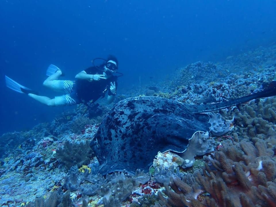 Diving