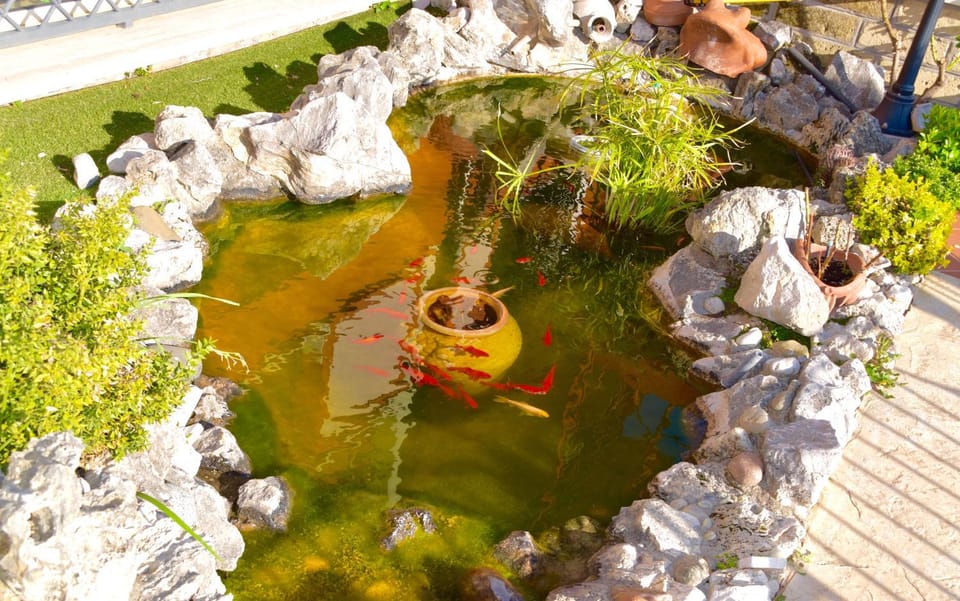 Da Zia Piera Bed and Breakfast in Lazio