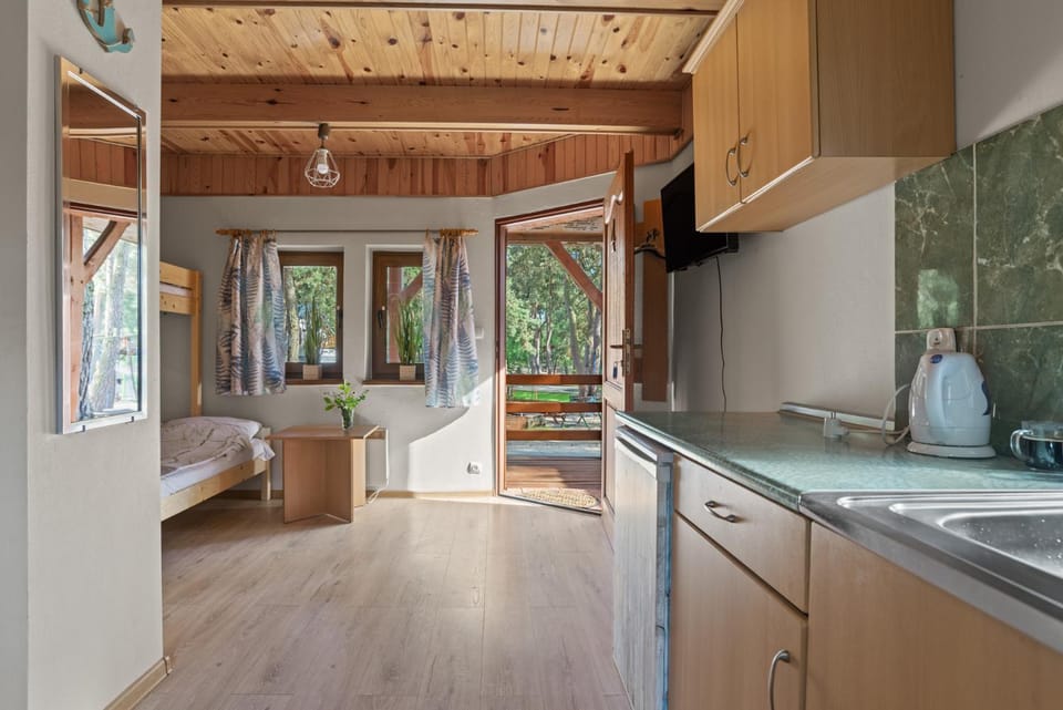Kitchen or kitchenette, pet friendly