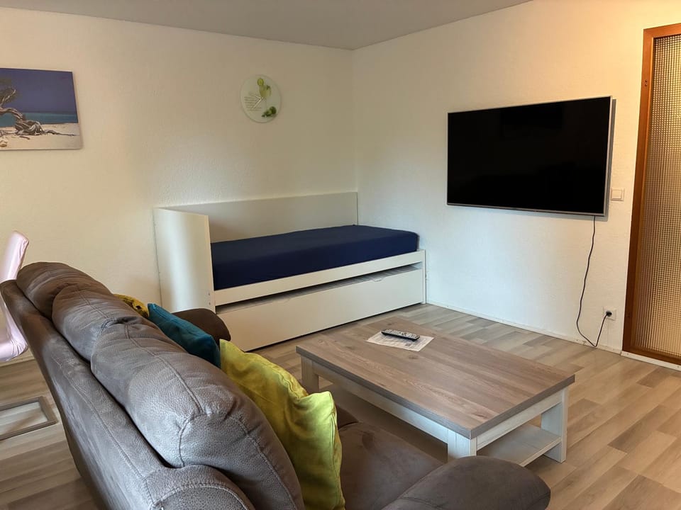TV and multimedia, Living room