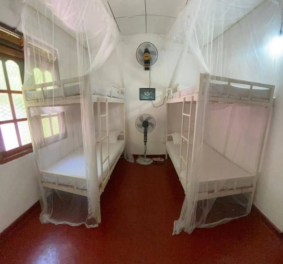 Photo of the whole room, Bedroom, bunk bed