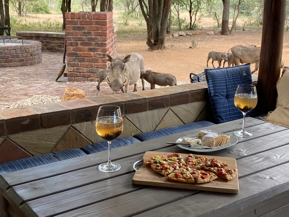 Day, Animals