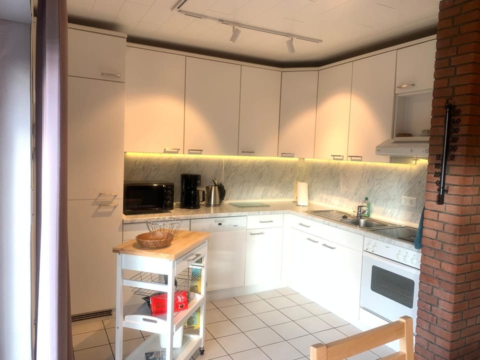Kitchen or kitchenette, dishwasher, minibar, pet friendly, stove