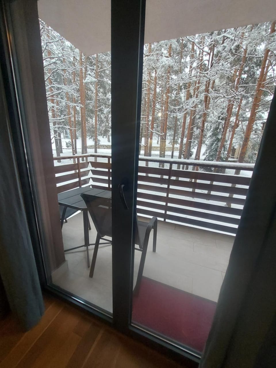 BALKAN HILL 1- Anuška Apartment in Zlatibor