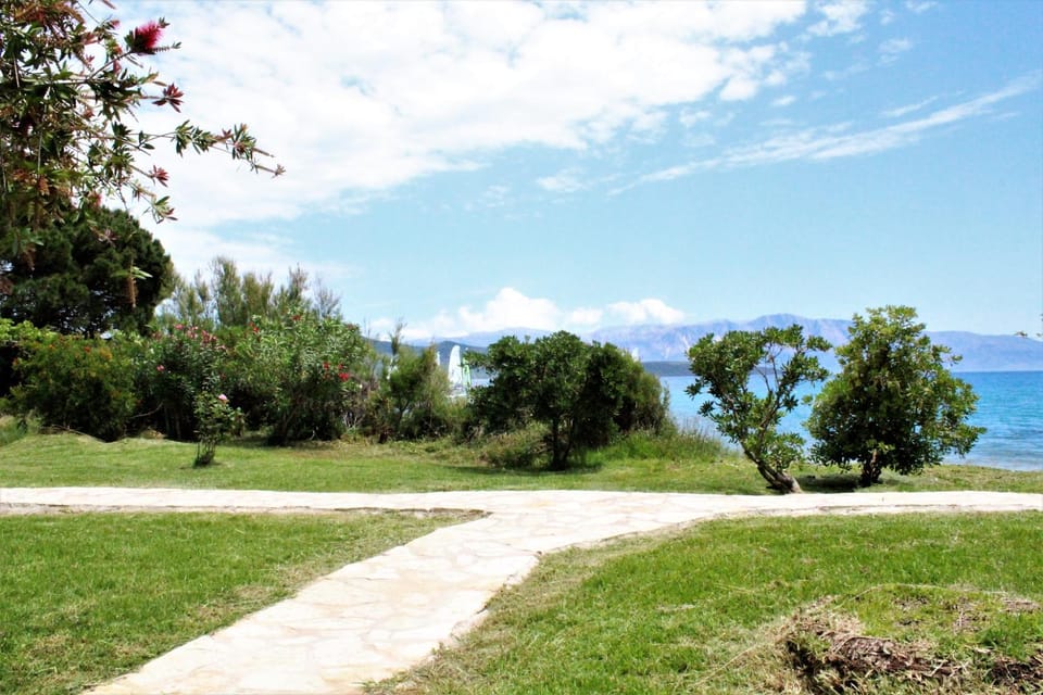 Natural landscape, Garden