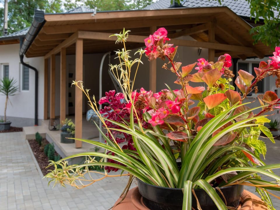 Property building, Garden, Balcony/Terrace