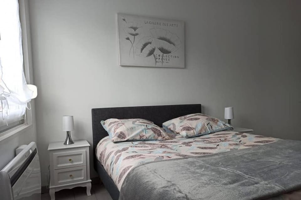 Les chevalets I classé 2 étoiles Apartment in Lens