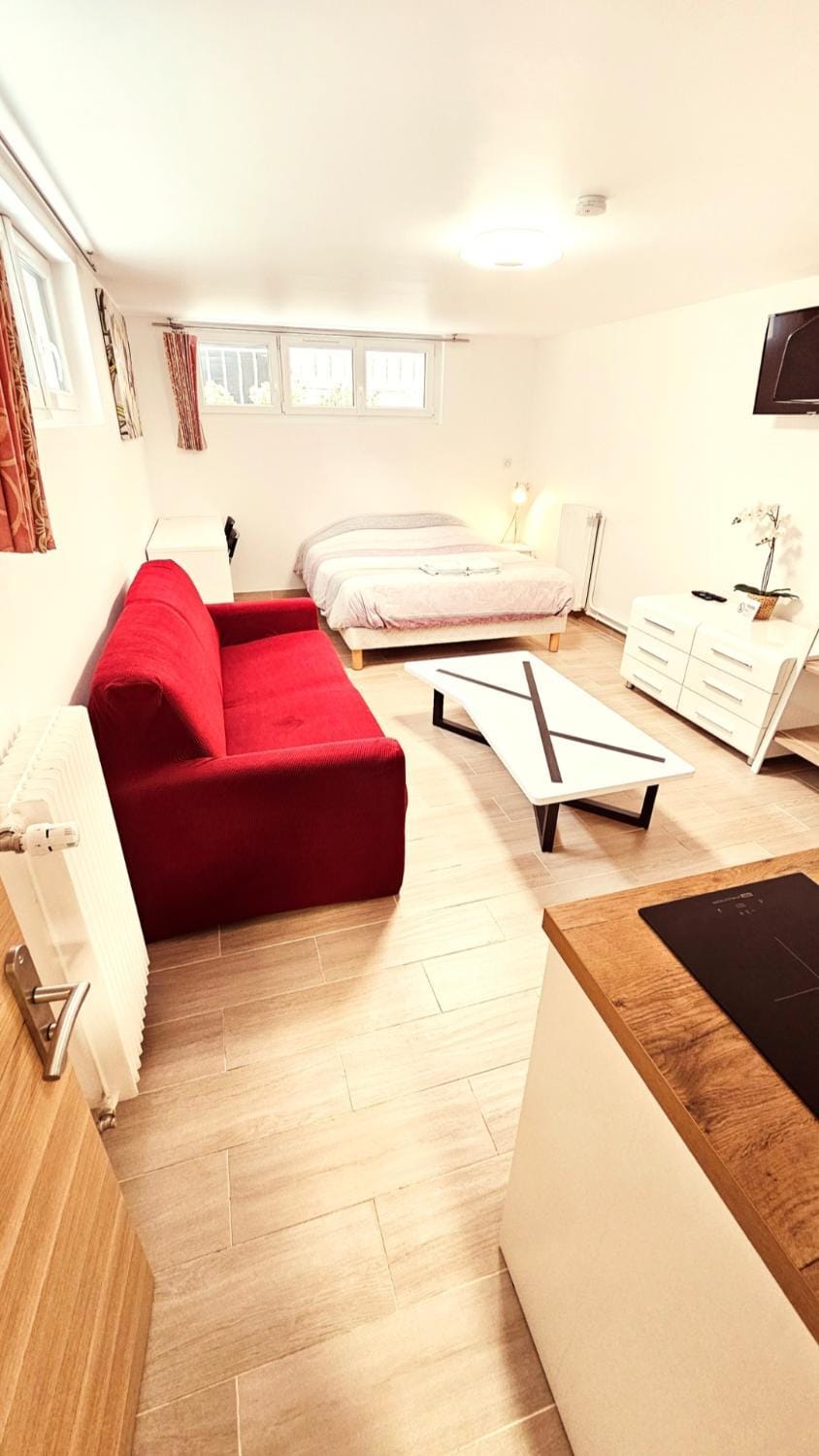 STUDIOS La Varenne Saint Maur entre PARIS ET DISNEYLAND Apartment in Saint-Maur-des-Fossés