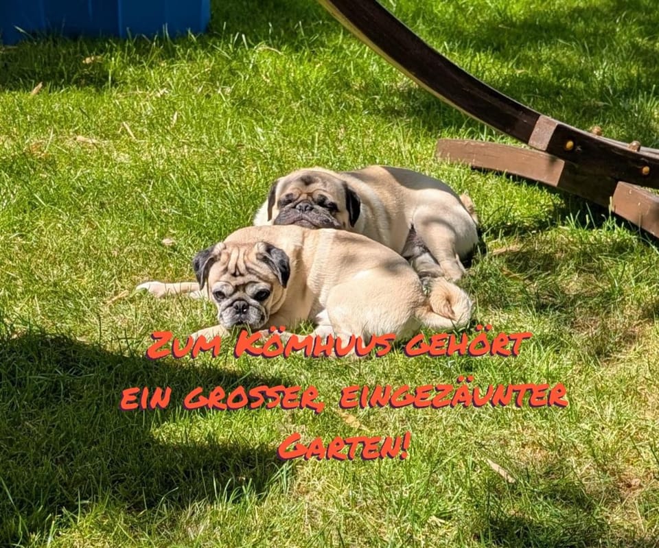 Ferienhaus Kömhuus House in Nordfriesland