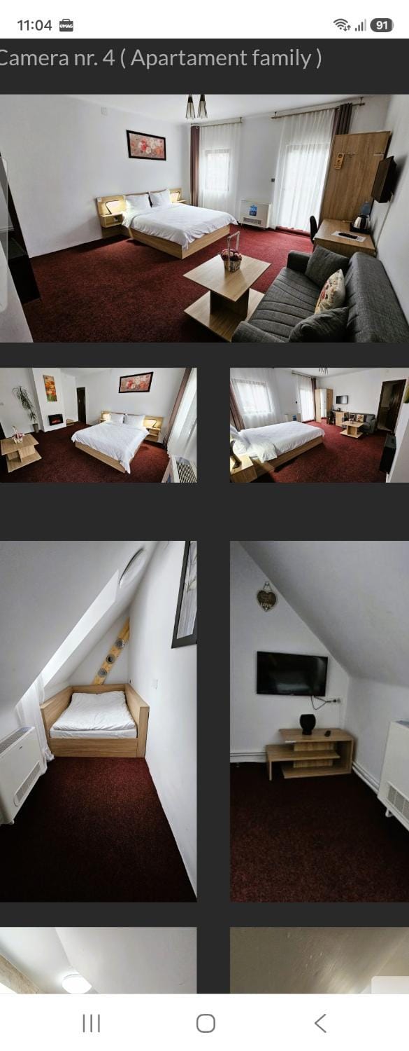 Casa Catalea Vacation rental in Sinaia