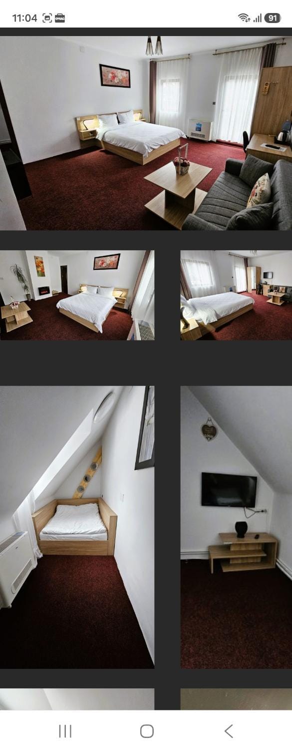 Casa Catalea Vacation rental in Sinaia