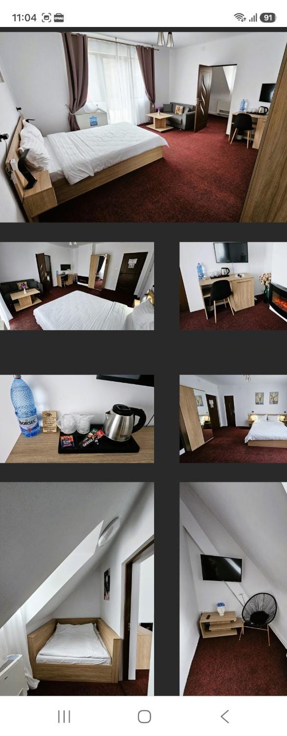 Casa Catalea Vacation rental in Sinaia