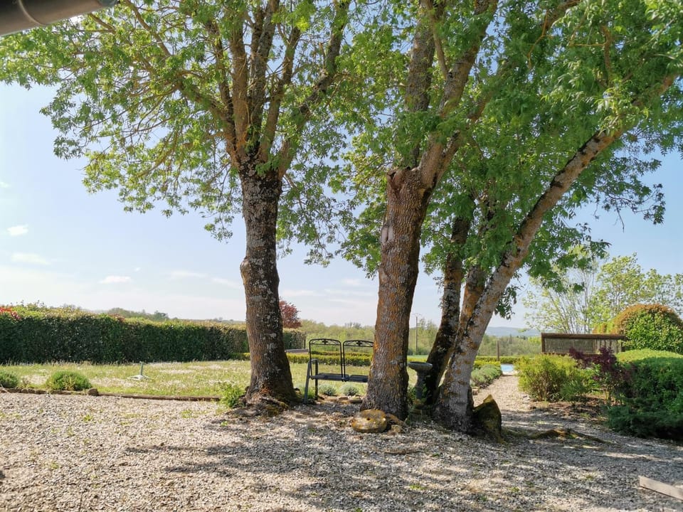 Patio, Garden