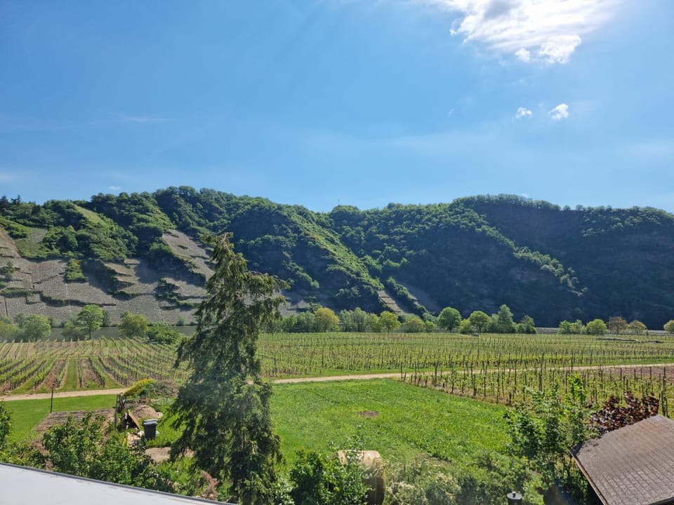 Ferienwohnung Arens Apartment in Trier-Saarburg