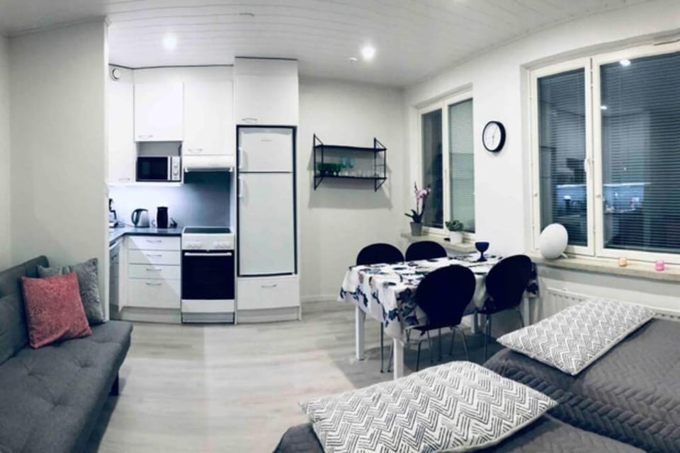 Studio Vescu Apartment in Finland