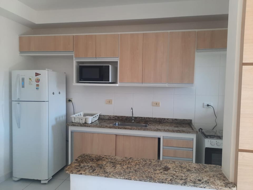 Kitchen or kitchenette, microwave, stove