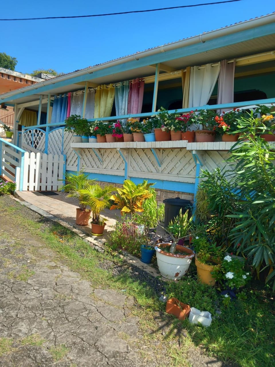 Garden view