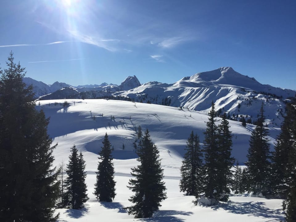 Winter, Skiing