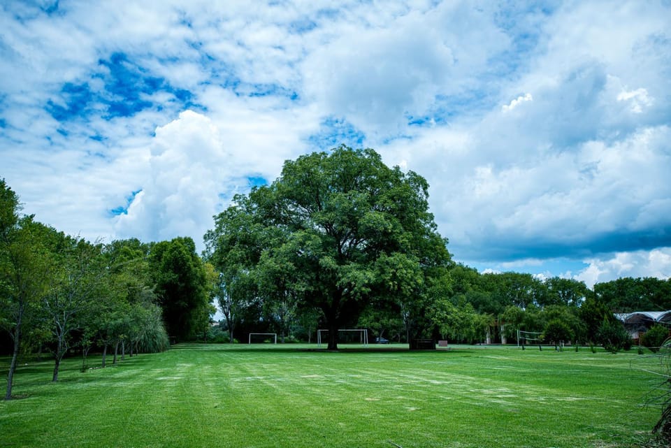Garden, Garden view