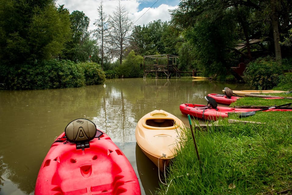 Activities, Lake view