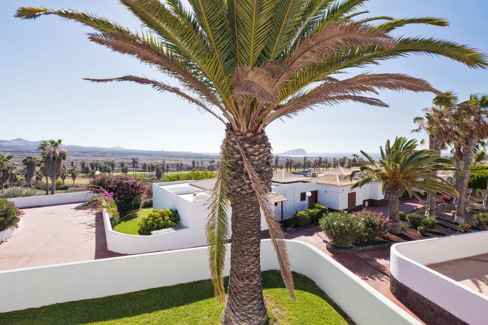 Natural landscape, Garden view