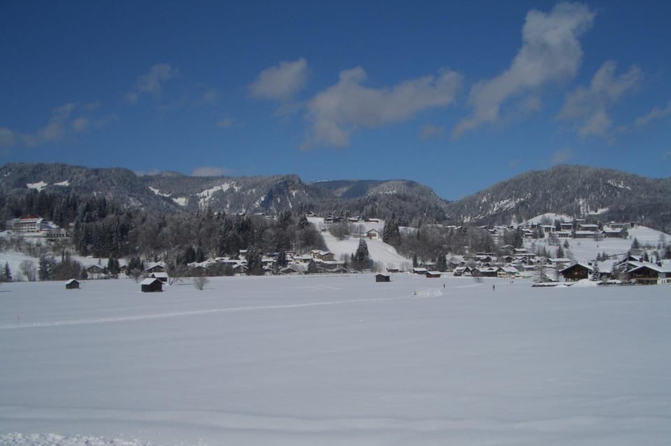 Natural landscape, Winter