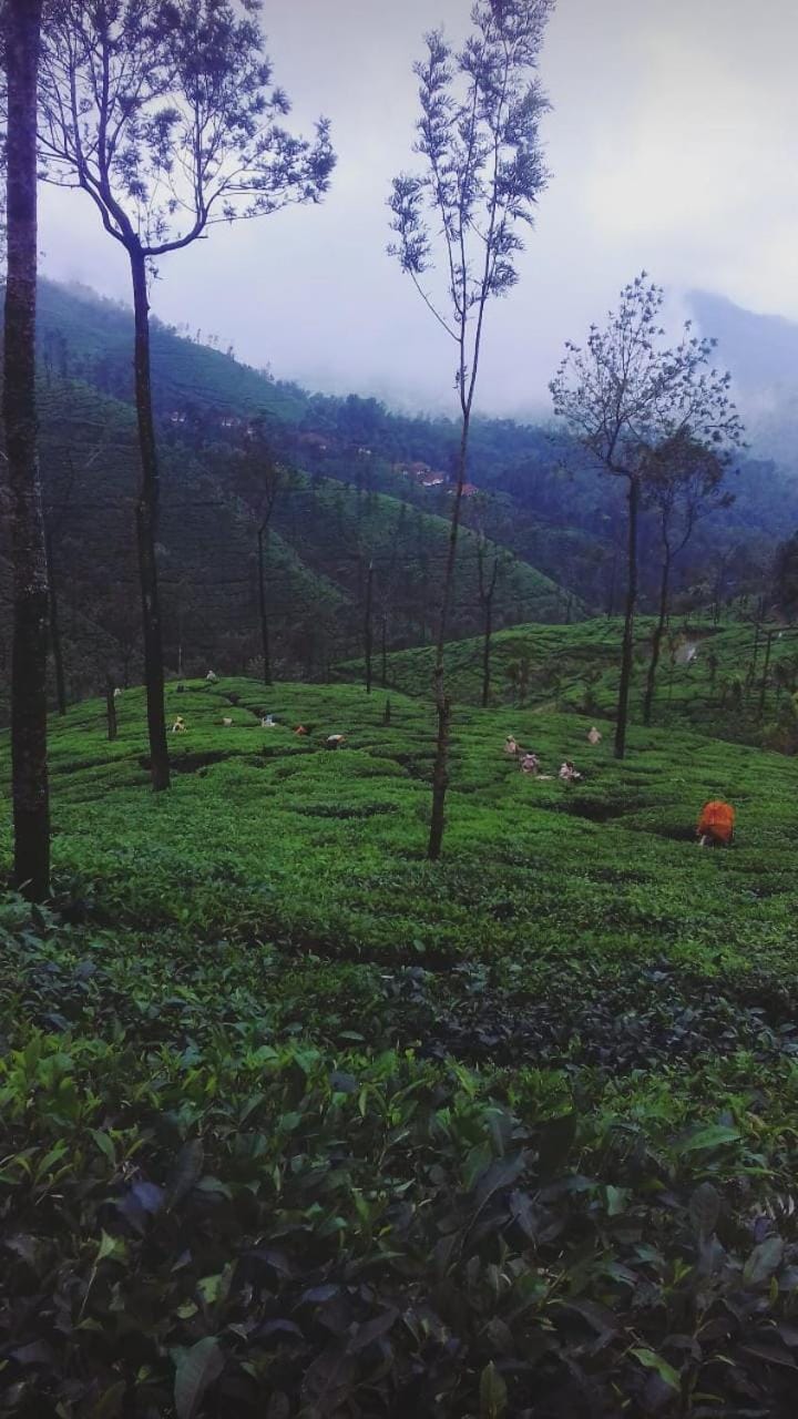 Meghagiri homestay Vacation rental in Karnataka