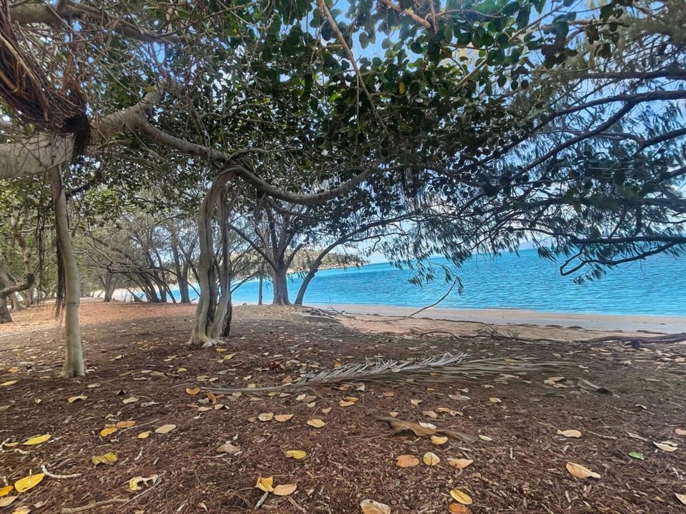 Arcadia Beach Unit 4 Apartment in Queensland