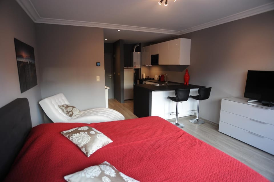 Knokke Modern Studio Apartment in Knokke-Heist
