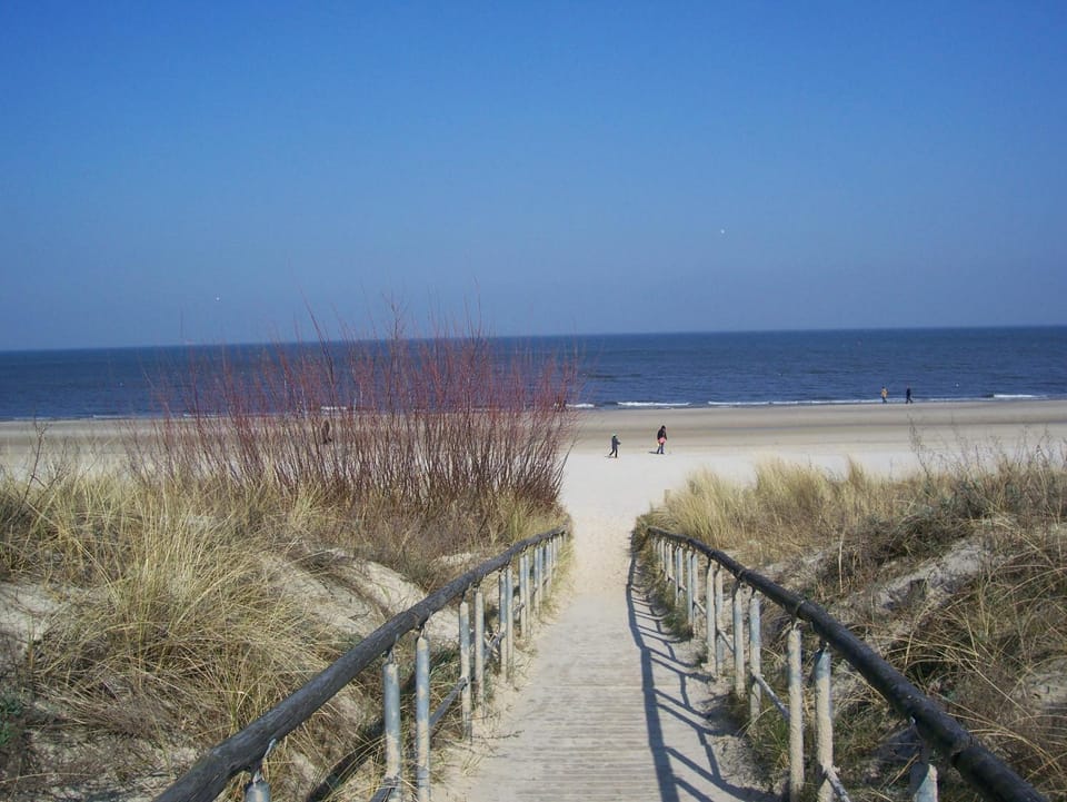 Sea view