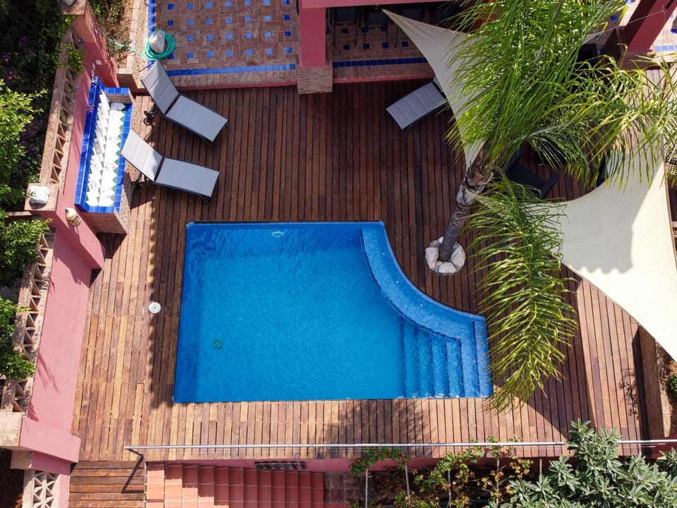 Garden, Swimming pool