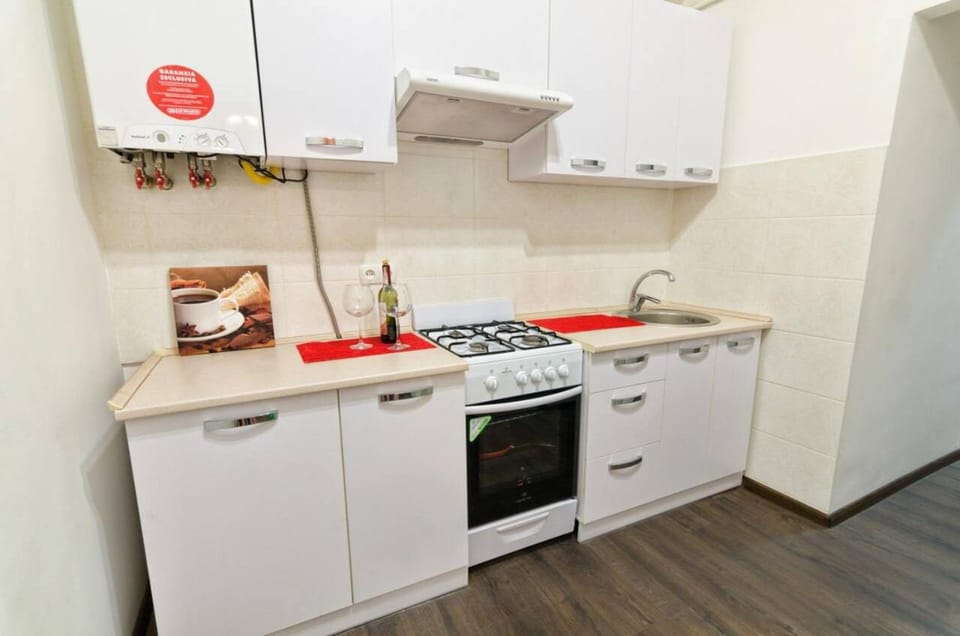 Apartment near the Opera House Apartment in Lviv