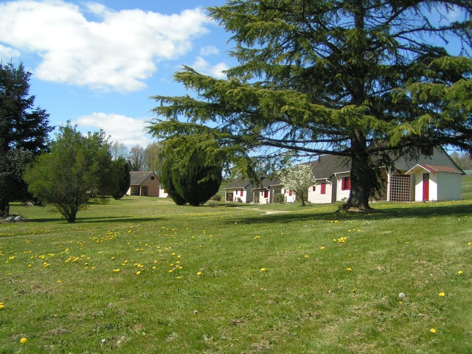 Property building, Natural landscape, Garden, Garden view