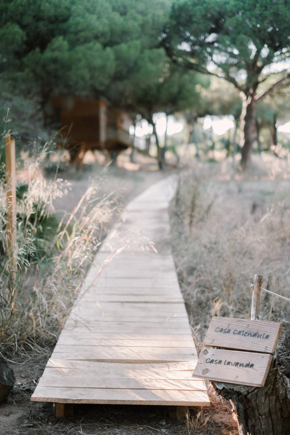 Natural landscape, Garden