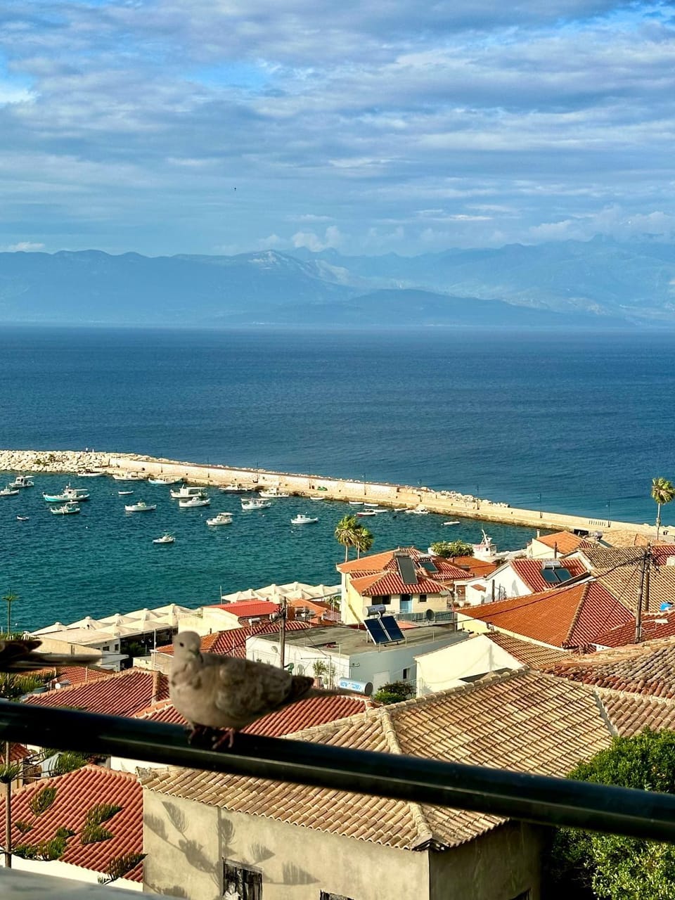 Natural landscape, City view, Sea view