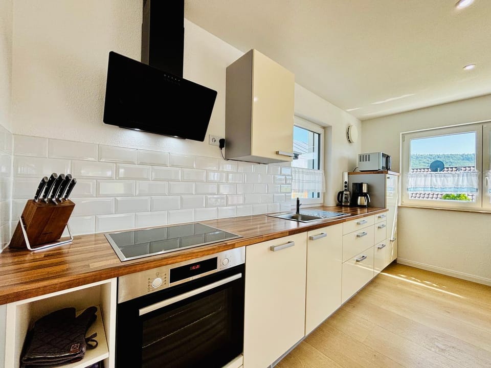 Kitchen or kitchenette, dishwasher, stove