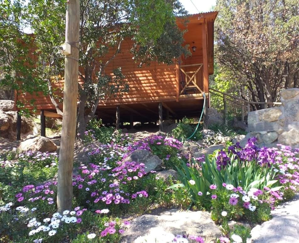 Cabañas Lomas del Manzano House in San Jose de Maipo