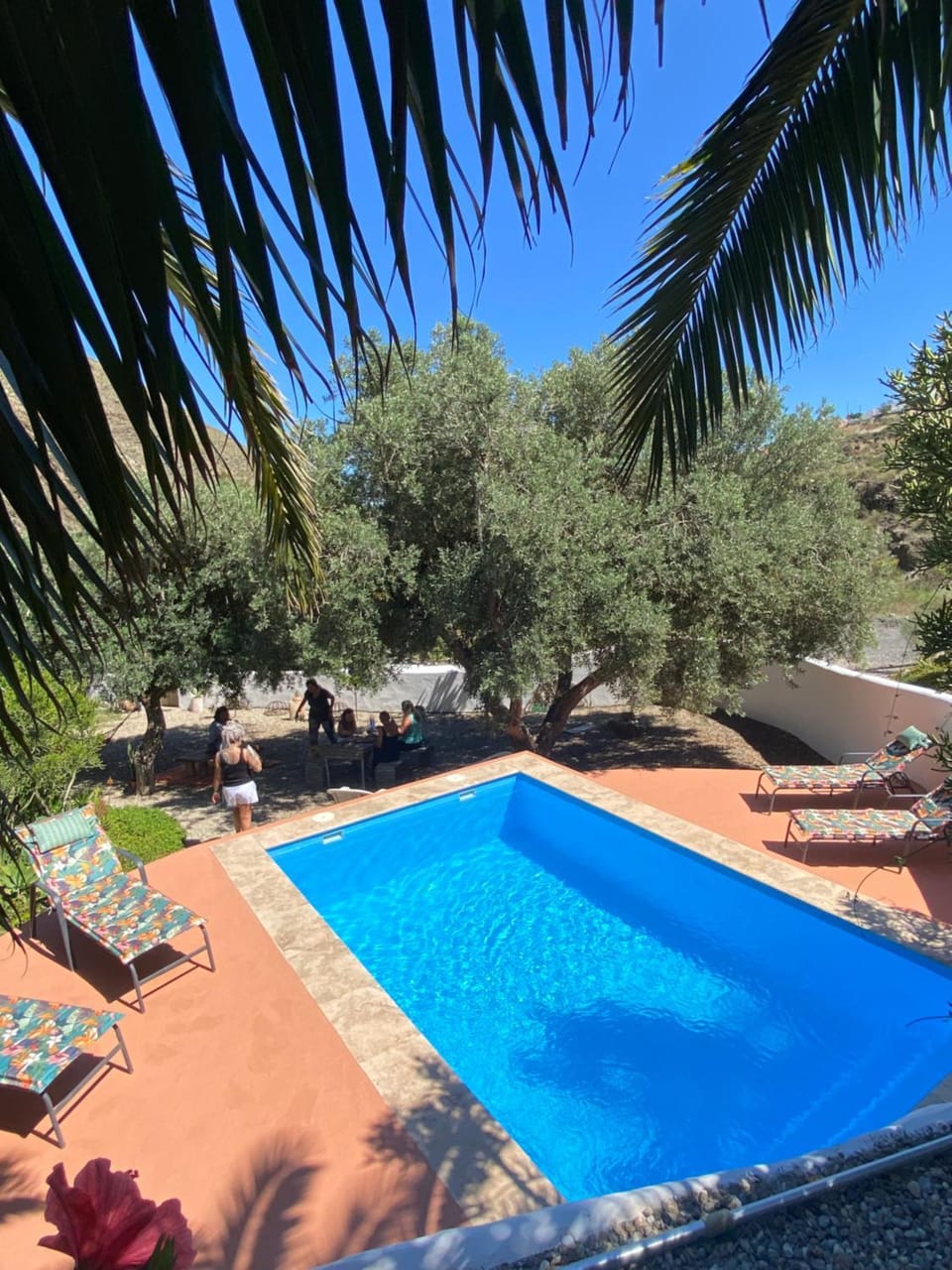 Garden view, Pool view, Swimming pool, sunbed