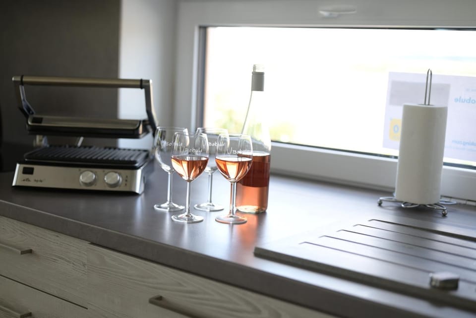 apartmán U Rané BOBULE Apartment in South Moravian Region