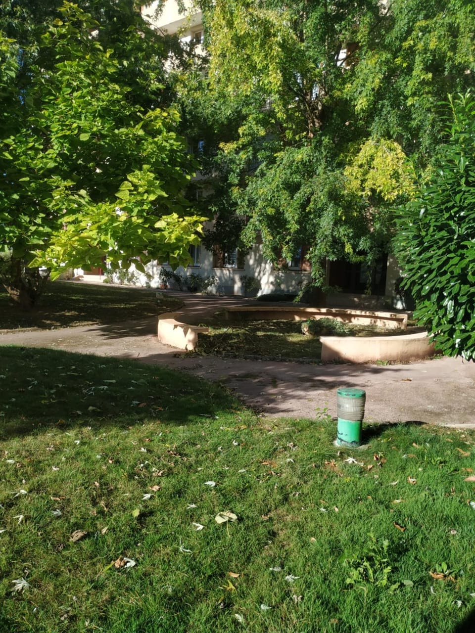 Garden view
