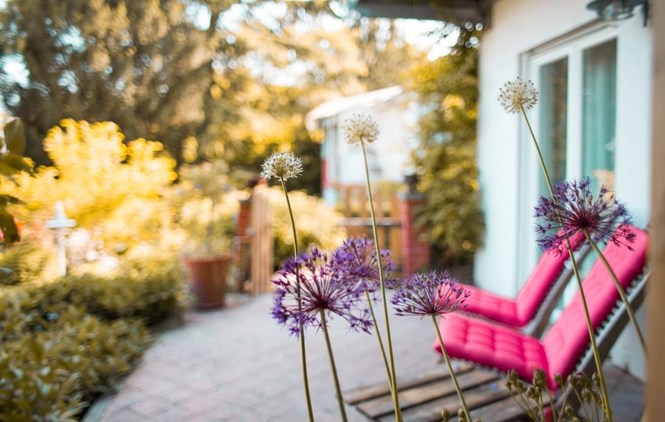 Garden, Balcony/Terrace