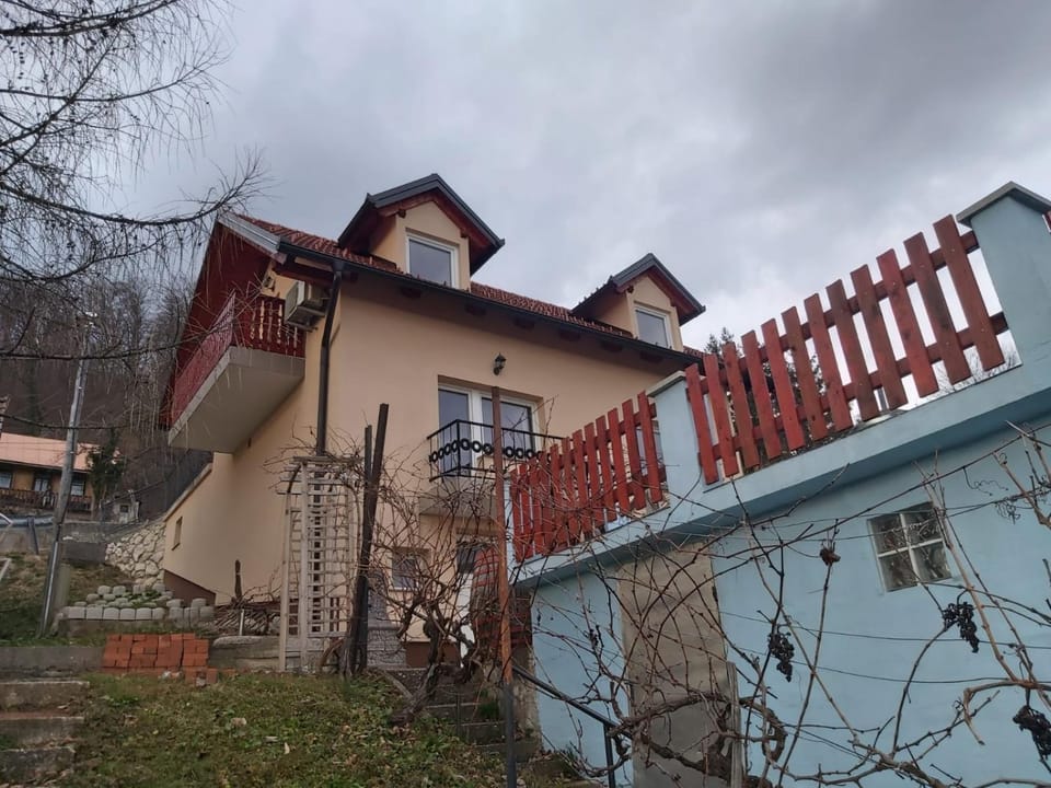 Issy View House House in Slovenia