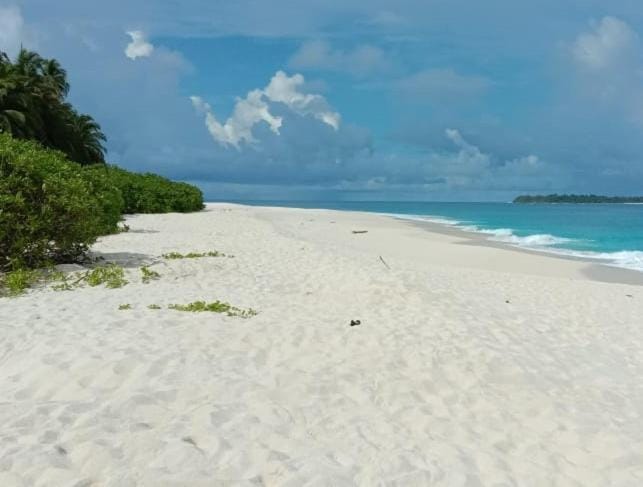 Pondok Oma III Bed and Breakfast in Indonesia