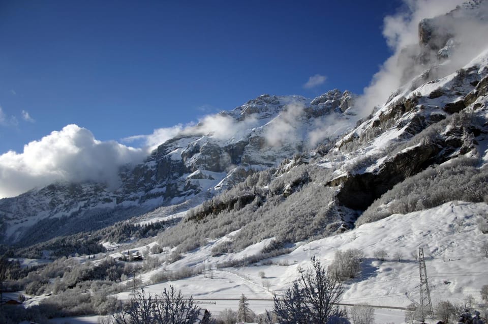 View (from property/room)