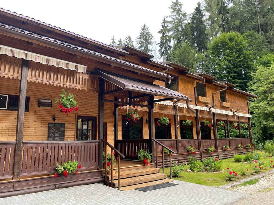 PENSIUNEA VALEA CETATII Bed and Breakfast in Brașov County