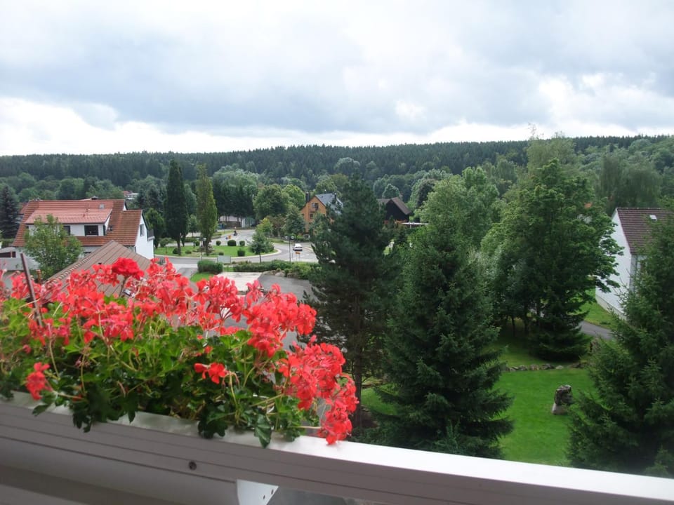 Balcony/Terrace, City view