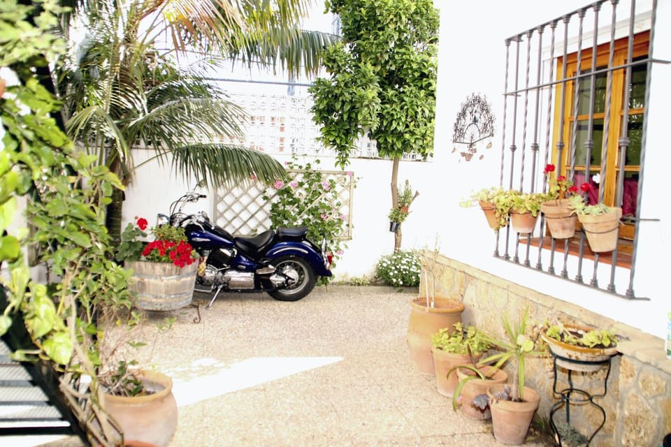 Patio, Garden