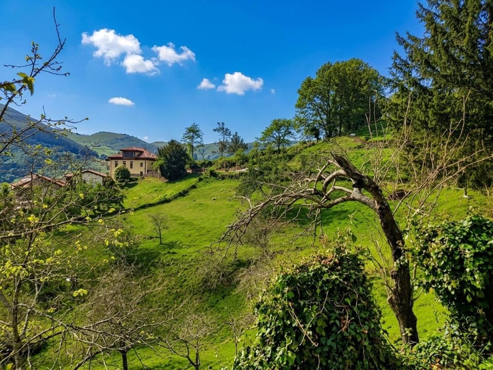 Natural landscape, Garden view, Mountain view