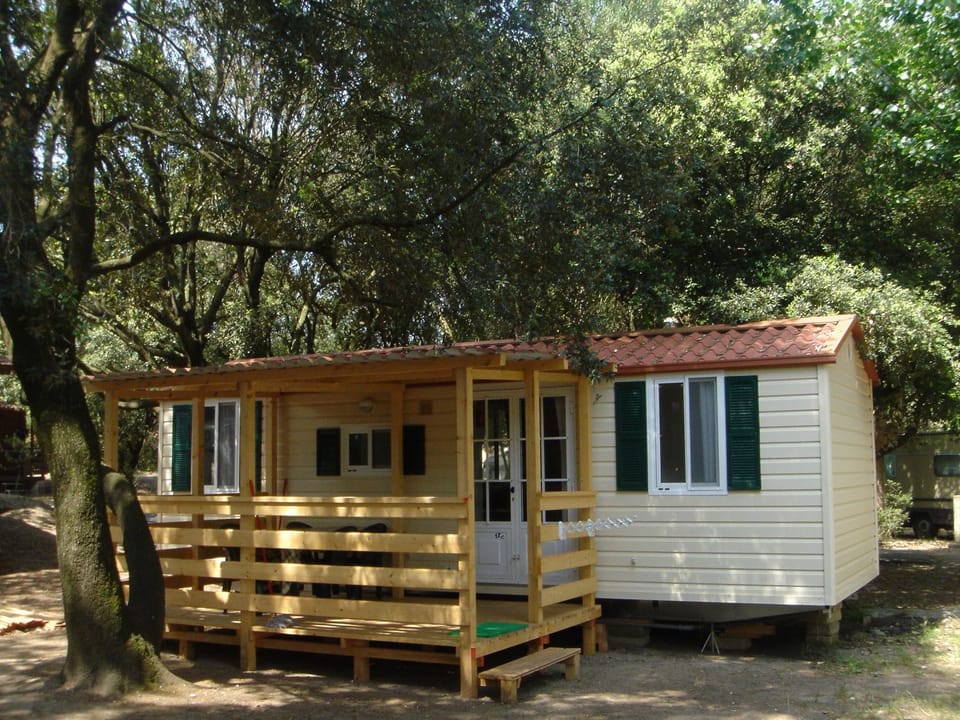Property building, Day, Garden view