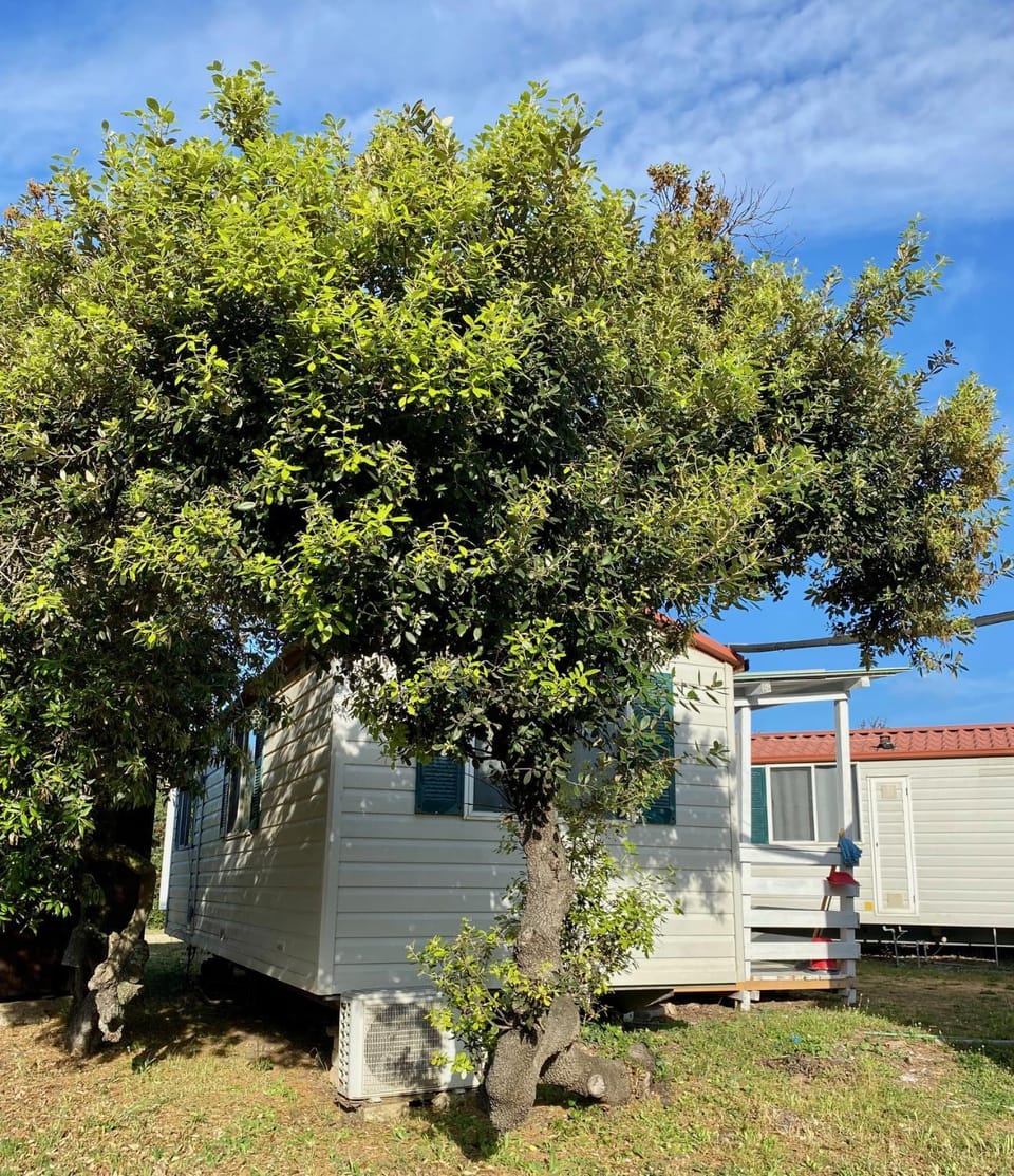 Property building, Natural landscape, Garden view